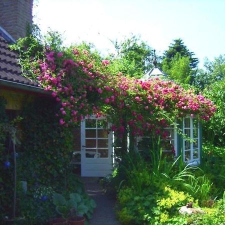 Ferienwohnung Diena - Unterkunft Mit Toller Ausstattung Und Zwei Terrassen Tarp Luaran gambar